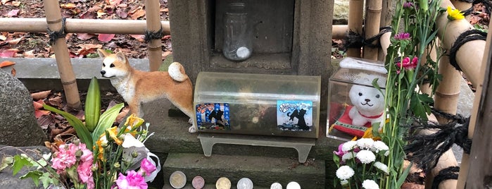 Hachiko's grave is one of 忠犬ハチ公ゆかりの地.