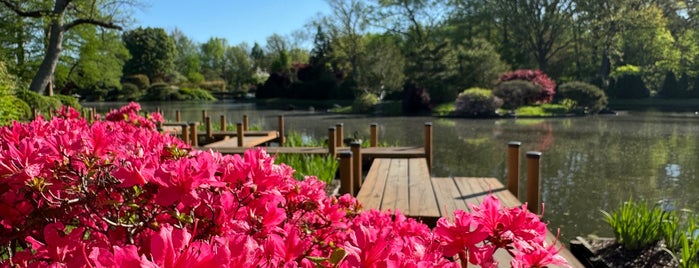 Missouri Botanical Garden Japanese Garden is one of Aanraders.