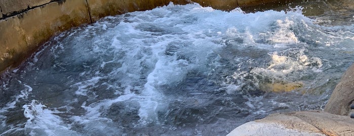 Calico River Rapids is one of Lieux qui ont plu à Ryan.