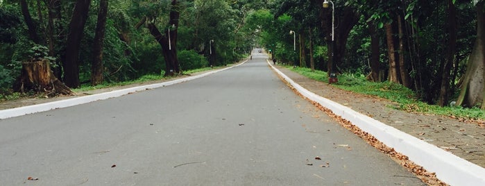 UP Academic Oval is one of All-time favorites in Philippines.