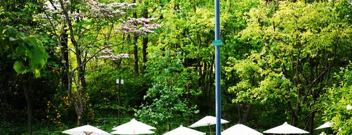 Akatsuka Botanical Garden is one of 公園.
