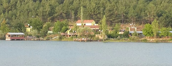 Göğem Göleti is one of สถานที่ที่ Orkun ถูกใจ.