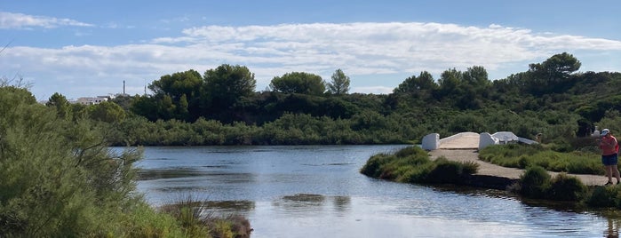 Parc Natural De S'albufera Des Grau is one of Menorca.