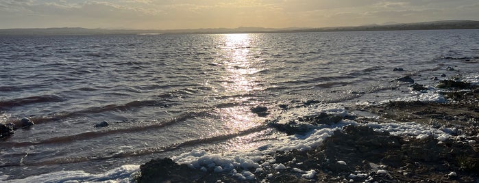 Laguna Salada de Torrevieja is one of Dubl.