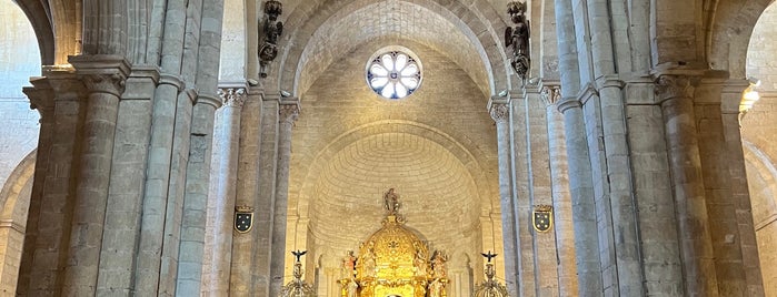 La Colegiata de Santa Maria la Mayor is one of Viajes.