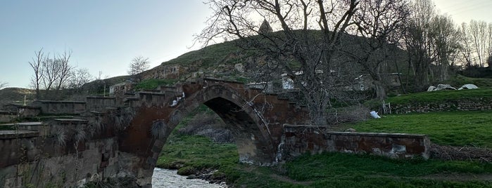 Ahlat Harabe Şehir is one of Bitlis.