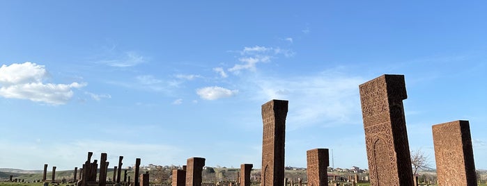 Ahlat Tarihi Selçuklu Mezarlığı is one of TÜRKİYE’NİN HARİKALARI.