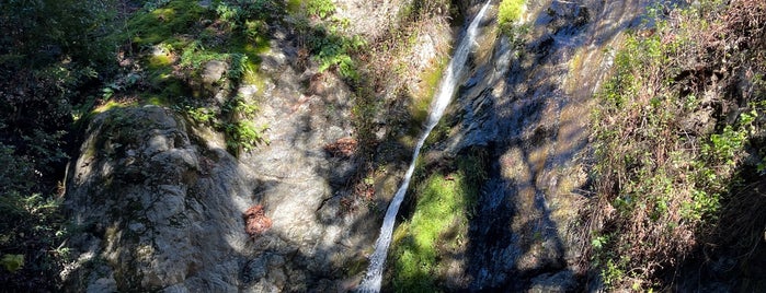 Pfeiffer Falls is one of Lugares favoritos de eric.