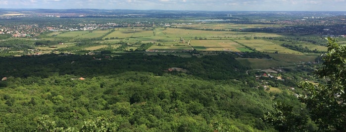 Petőfi pihenő is one of Lugares favoritos de Sveta.