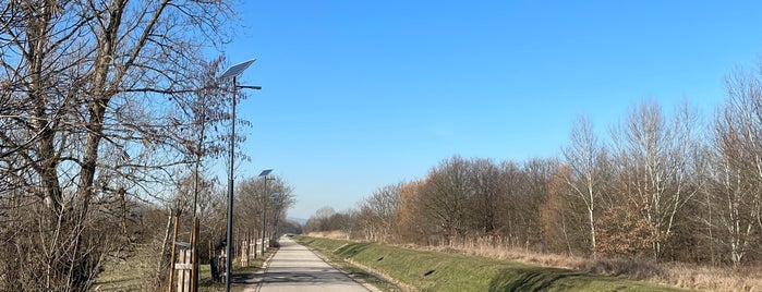 Szilas-patak menti kerékpárút is one of Szabadban.