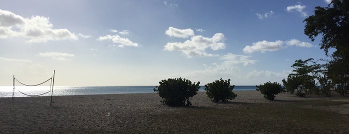 Weisers is one of Barbados beach bars.