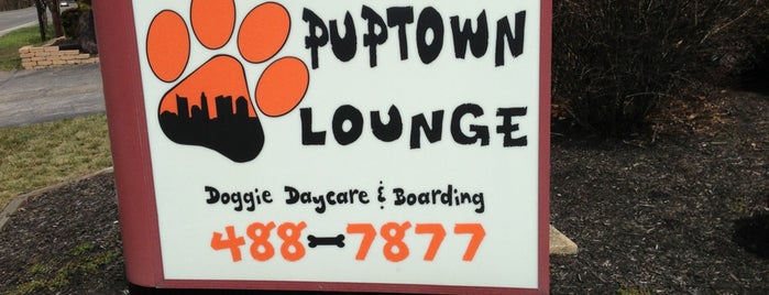 Puptown Lounge is one of The 7 Best Places for Grooming in Columbus.