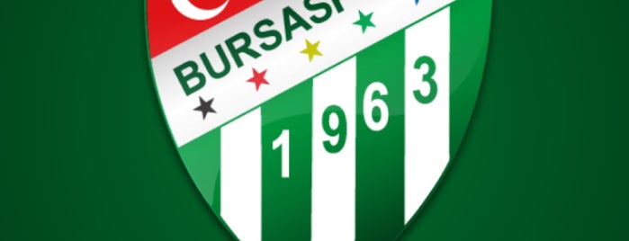 Bursa Atatürk Stadyumu is one of Galip.