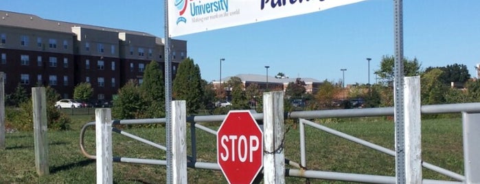 Delaware State University is one of Lieux sauvegardés par Todd.