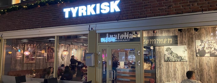 Anatolia Tyrkisk restaurant is one of Scandinavian 🇳🇴🇩🇰🇫🇮🇸🇪.