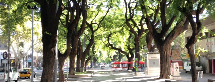 Paseo Alameda is one of Lugares favoritos de Javier.