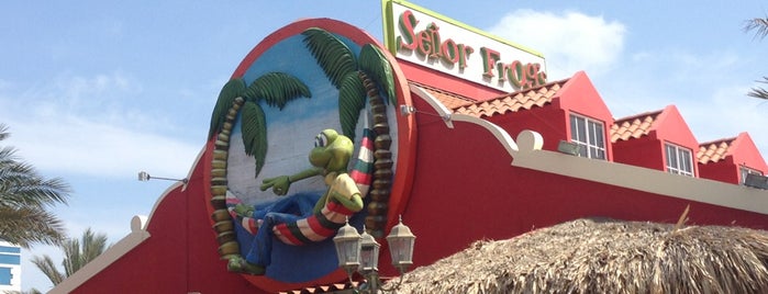 Señor Frog's Aruba is one of สถานที่ที่บันทึกไว้ของ Mike.