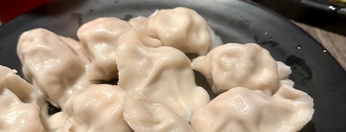 Palace Dumplings is one of Mid Hudson valley.