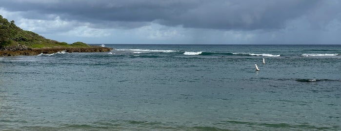 Turtle Bay Beach is one of Hawaii.