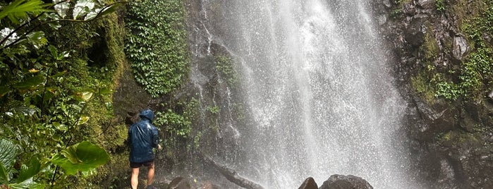 El Tigre Waterfalls is one of Costa Rica.
