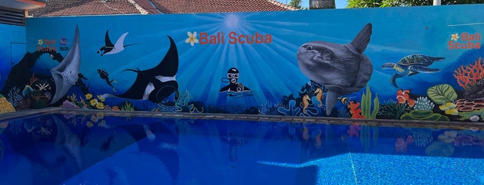 Bali Scuba is one of Bali Dive operators.