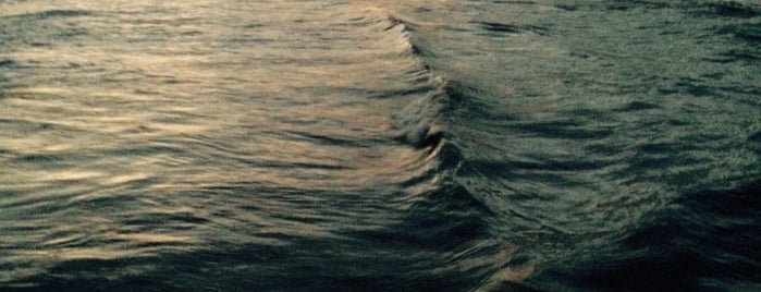 Flagler Beach Pier is one of kim.