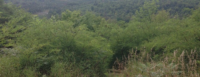 Deadman's Hill Overlook is one of Orte, die Joel gefallen.