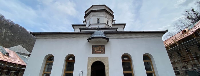Mănăstirea Tismana is one of Timisoara.