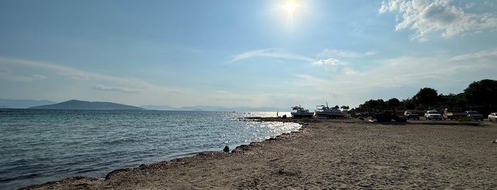 Avra Beach is one of Σταύροςさんのお気に入りスポット.