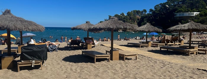 Playa Sa Riera is one of Posti che sono piaciuti a Sito.