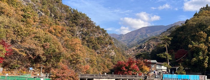 長潭橋 is one of 東日本の山-秩父山地.