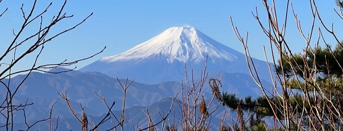 生藤山山頂 is one of 花の百名山.