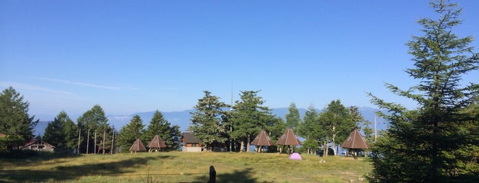 鹿嶺高原 キャンプ場 is one of ソロキャンプツーリング用キャンプ場リスト.