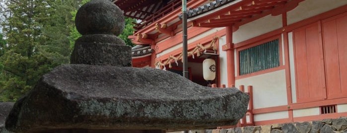 手向山八幡宮 is one of 八百万の神々 / Gods live everywhere in Japan.