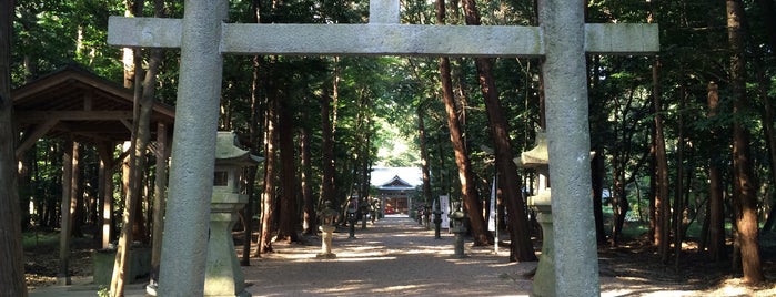 能褒野神社 is one of ヤマトタケルを歩く.