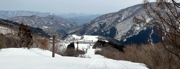 今庄365スキー場 is one of アウトドアスポット.
