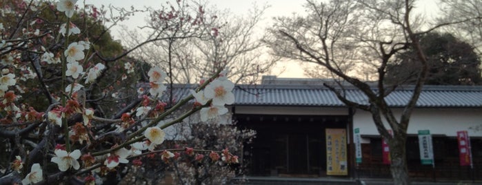 五條市史跡公園（五條市立民俗資料館） is one of 奈良県内のミュージアム / Museums in Nara.