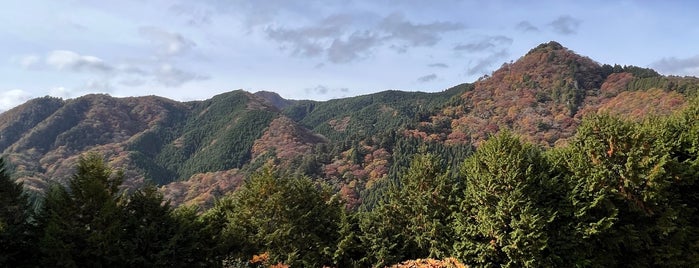 Mt. Mitake is one of Emily's Saved Places.