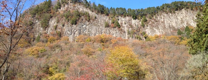 屏風岩公苑 is one of 大和の風物詩 11月.