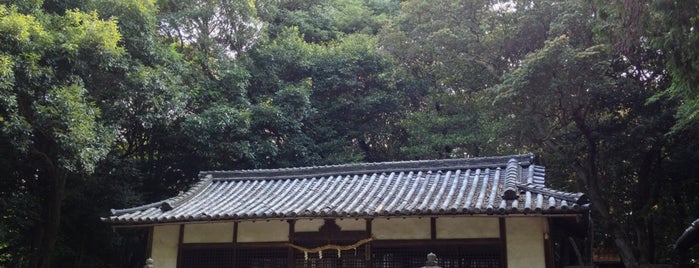 白山姫神社 is one of 日本各地の太鼓台型山車 Drum Float in JAPAN.