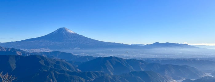 篠井山　山頂 is one of 山梨百名山.