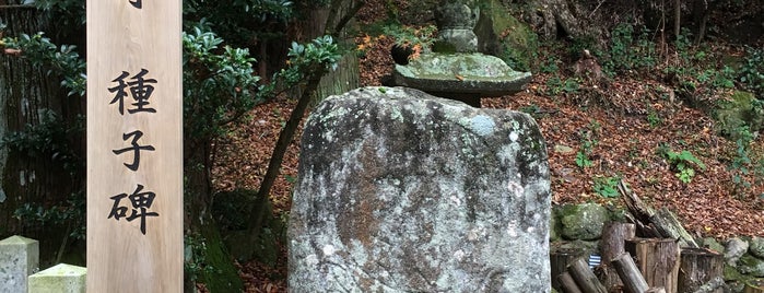 太郎生国津神社 is one of 東海地方の国宝・重要文化財建造物.