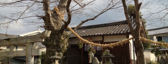 素佐男神社(三輪) is one of この木なんの樹?気になる巨樹.