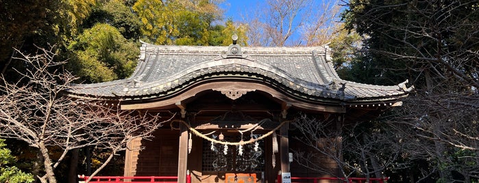 吾妻神社 is one of 浪合記巡り.