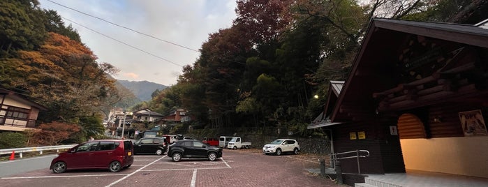 町営鳩ノ巣駐車場 is one of 駐車場.