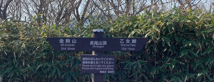 長尾山 is one of 日本の🗻ちゃん(⌒▽⌒).