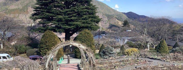 Hakone Gora Park is one of 公園.