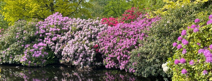 Trompenburg Tuinen & Arboretum is one of Attracties.