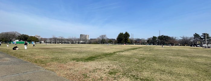 陸上自衛隊 朝霞駐屯地 is one of 埼玉県_新座市.