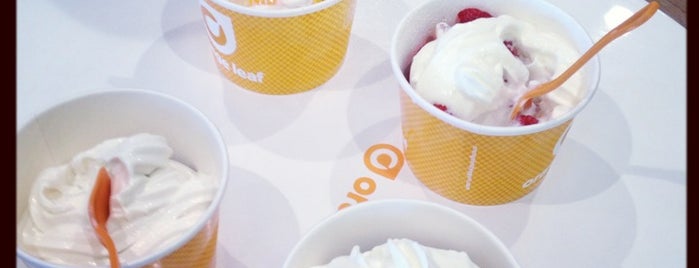 Orange Leaf Frozen Yogurt is one of Places To Try.